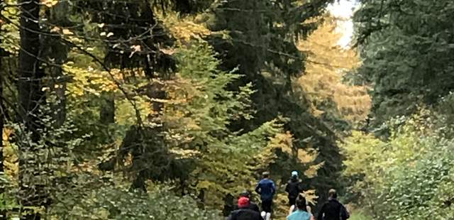 Feel Good – Yoga & Natur als Firmen-Event