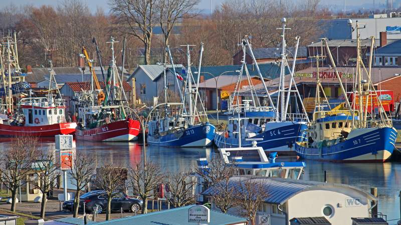 Büsum: Per Bahn zum Weltnaturerbe Wattenmeer