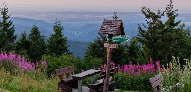 Sommerliches Tagen und Wandern in Oberhof