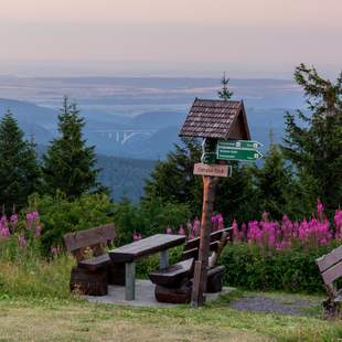 Sommerliches Tagen und Wandern in Oberhof