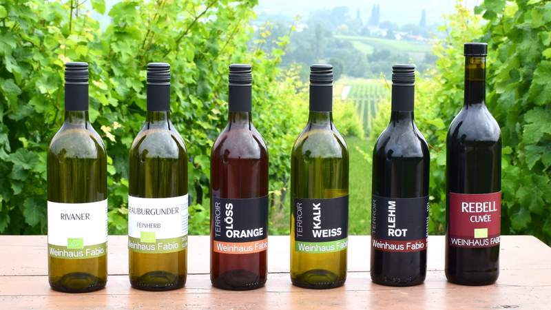 Weinhaus Fabio Genussvolle Weinbergwanderung in der Pfalz
