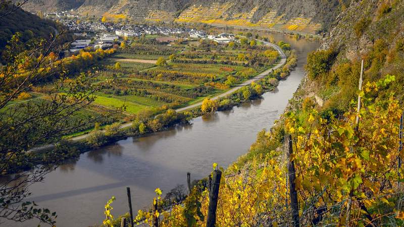 Incentive: Weinreise Mosel & Rhein