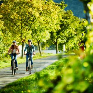 Raderlebnistour ab Traben-Trarbach/Mosel