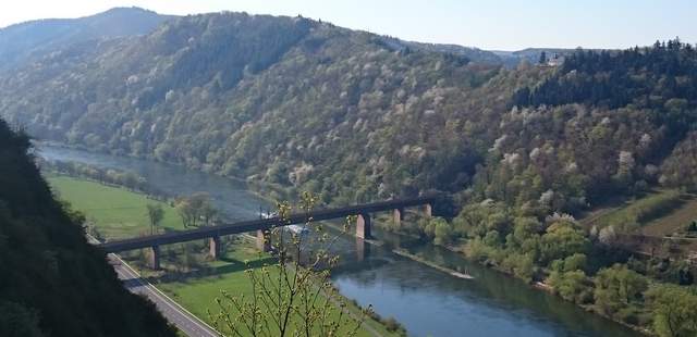 Rad & Genuss: Aktiv & Kulinarik an der Mosel