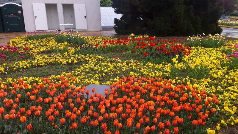 Park-Café im Rheinpark