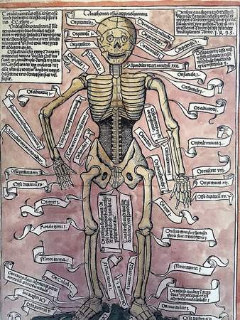 Rosensalbe und Hustensirup