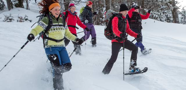 Alpenländische Bergweihnacht