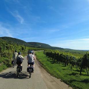 Alsace Wine Route Magnific Escapades