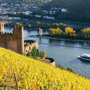 Team-Kurztrip mit Seilbahnfahrt in Rüdesheim