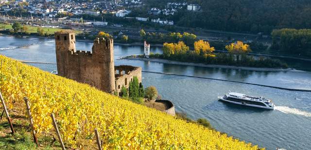 Team-Kurztrip mit Seilbahnfahrt in Rüdesheim