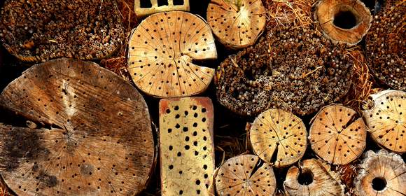 CSR-Event: Insektenhotels bauen!