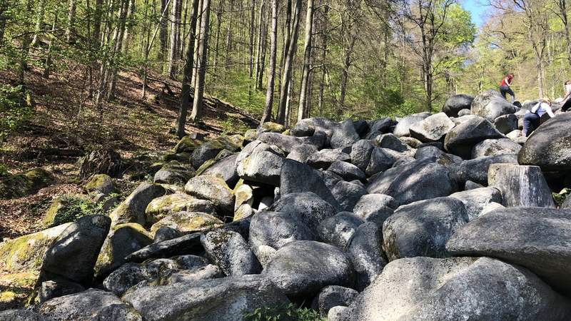 Felsenmeer Expedition im Odenwald