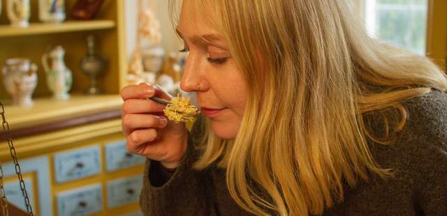 Die Experience erleben Sie mit allen Sinnen. Kräuter erriechen