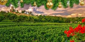 Weihnachtsfeier in Rheinland-Pfalz Weihnachtsfeier Rheinland-Pfalz