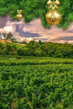 Weihnachtsfeier in Rheinland-Pfalz