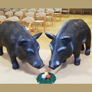 Wildschweingolf Wildschweingolf im Schloss Schweinsburg