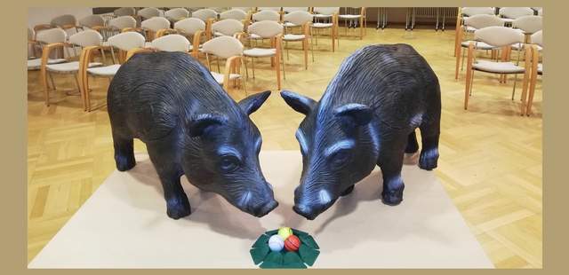Wildschweingolf im Schloss Schweinsburg