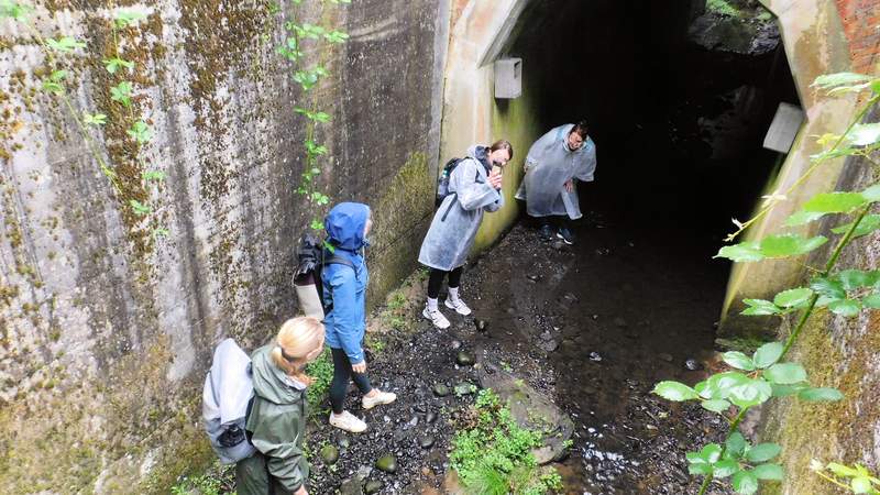 Survival Sachsenwald Tunnel Survival Teamevent im Sachsenwald bei Hamburg