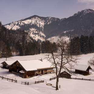 Schneeschuhtour auf der Alm