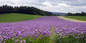 Taunus - Teambuilding