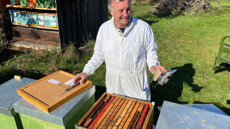 Imker Karl Janisch mit seinen Bienenstöcken