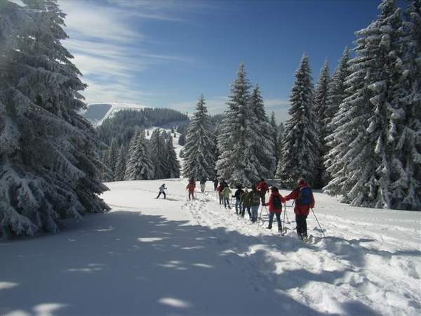 Schneeschuhwandern am Feldberg im Schwarzwald