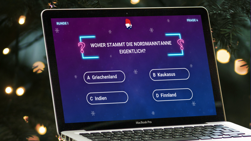 Online Teamevent - Pubquiz Weihnachten!