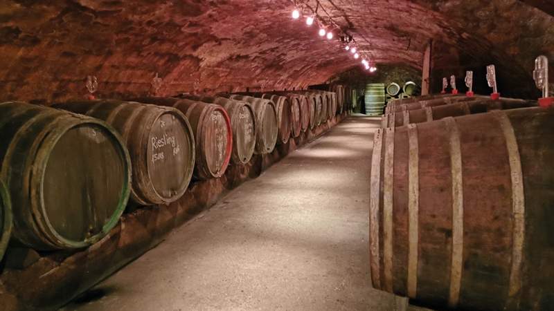Kurzreise mit Weinverkostung in Trier