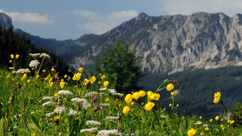 Cabrio Tour durch Tirols Berge