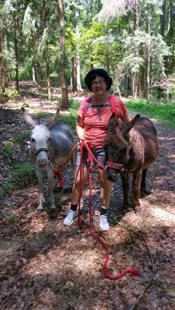 Eselwandern im Bayerischen Wald