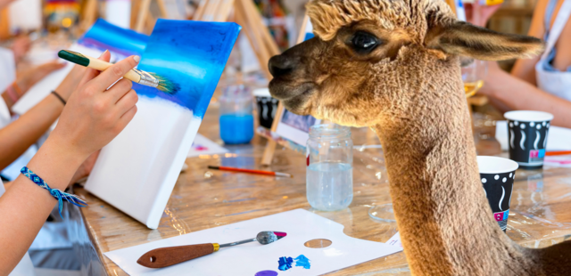 Paint & Drink Teamevent bei Alpakas