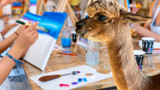 Paint & Drink Teamevent bei Alpakas