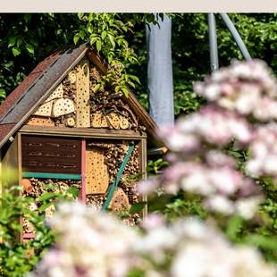 Insektenhotel- und Vogelhausbau