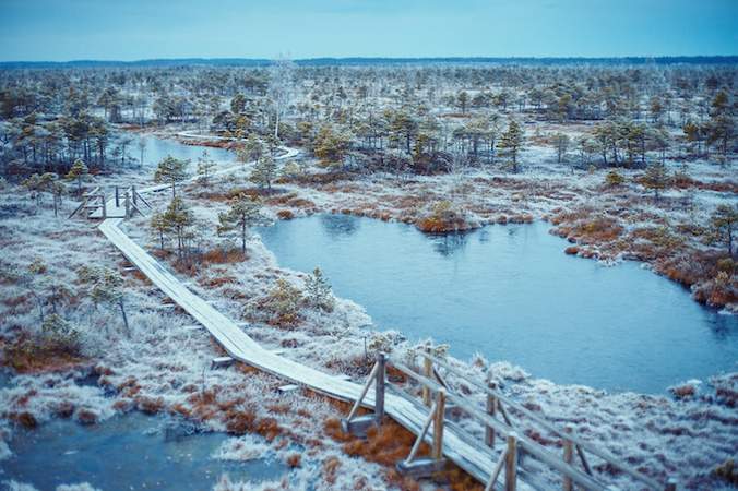 Riga: Incentive-Reise Jurmala