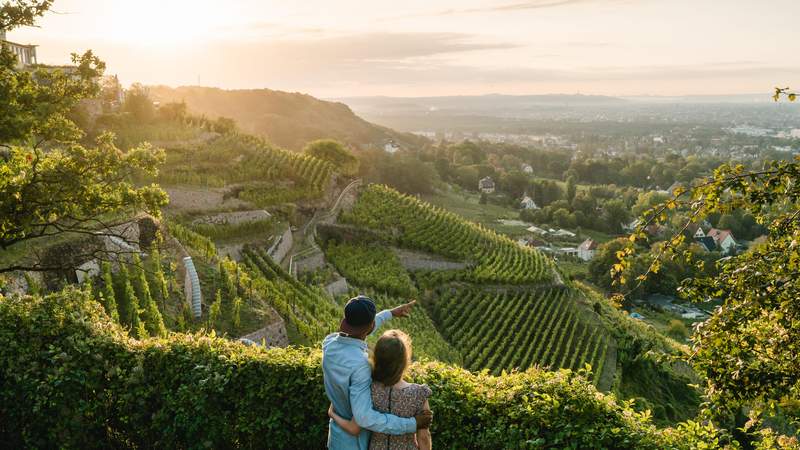 Winzerplausch und Rebensaft in Radebeul
