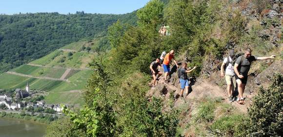 Wein & Wandern: Abenteuer Calmont