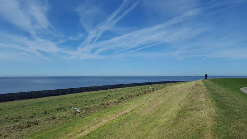 Hallig Südfall: Wattwanderung inkl. Bahnfahrt