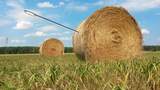 Aufwendige Suche