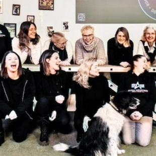 Quizify - Teambuilding und Teamevents Origin-Dog Event in der Schweiz