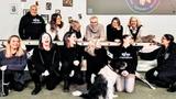 Quizify - Teambuilding und Teamevents Origin-Dog Event in der Schweiz