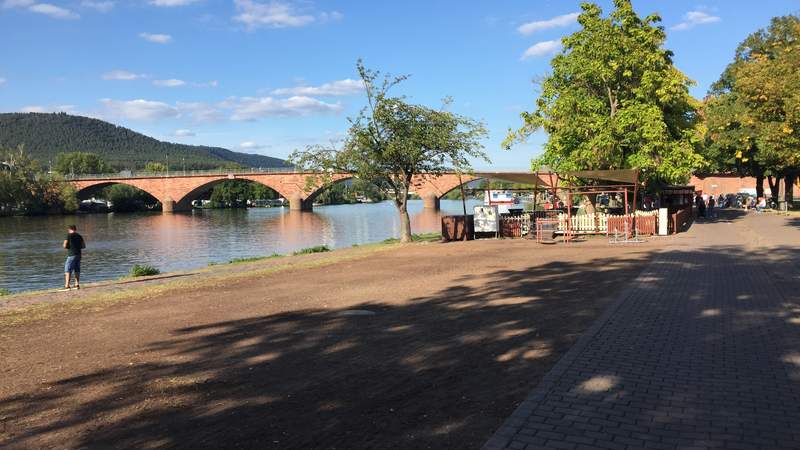 Segwaytour Miltenberg