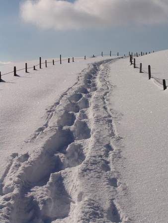 Schneeschuhwandern in den Allgäuer Alpen Schneeschuhwandern in den Allgäuer Alpen