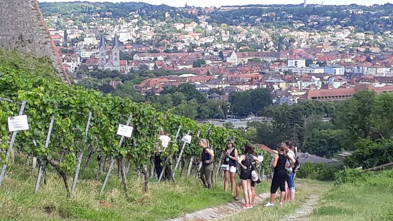 Weinbergsrallye mit Verkostung