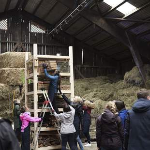 Hands-on Workshop - Lebenshabitat bauen
