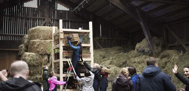 Hands-on Workshop - Lebenshabitat bauen