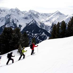 Schneeschuhwanderung