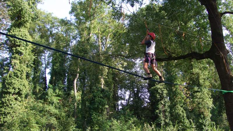 Teambuilding: Klettern im Hochseilgarten