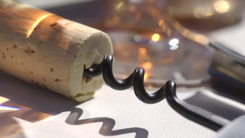 Weinkorken Erlebnistag durch die sächsischen Weinberge