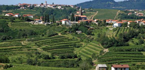 Wein Kultur Wellness in Sloweniens Steiermark