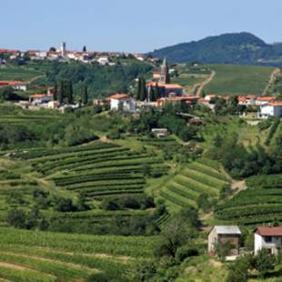 Wein Kultur Wellness in Sloweniens Steiermark